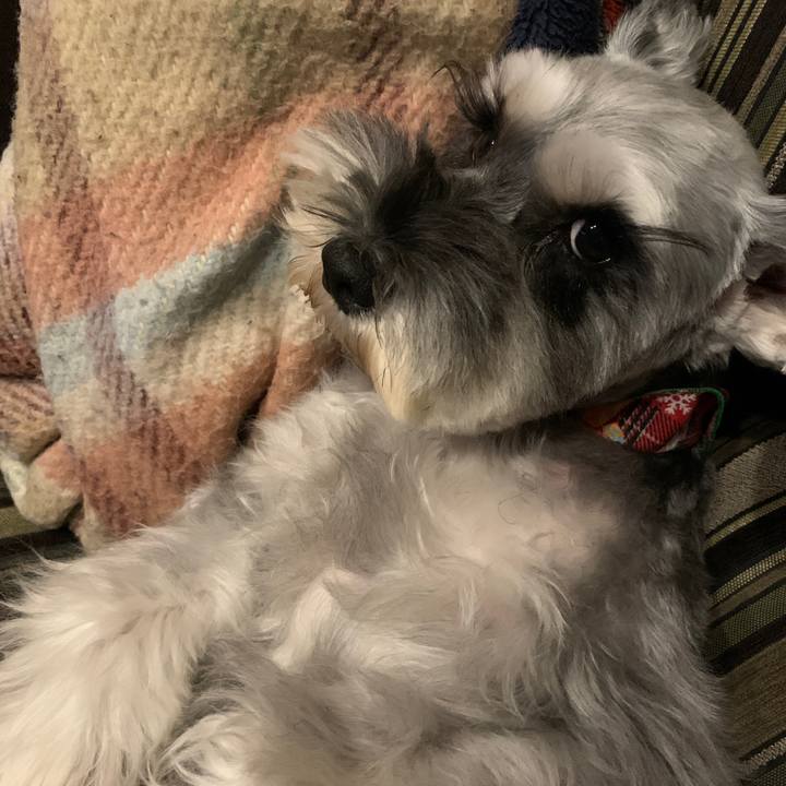 21c9811b c6d4 45b2 9e03 56e403554a78 1607076821282