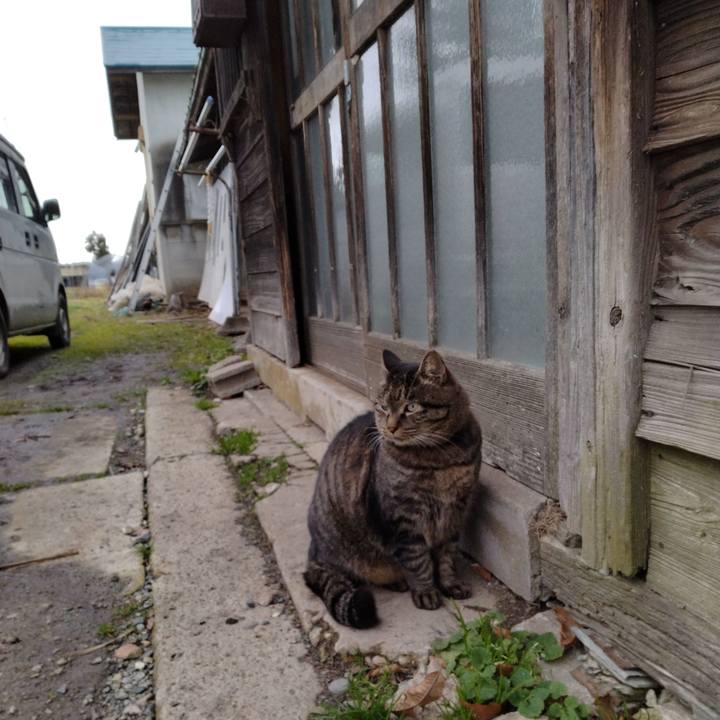 21c99ccd 7958 4766 a6a3 d04ddd0b5762 1670224361887