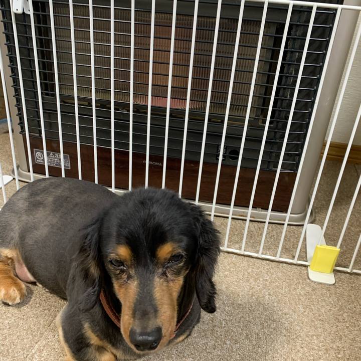 21c99f00 7d0e 4220 943e 8cd571898385 1608155474574