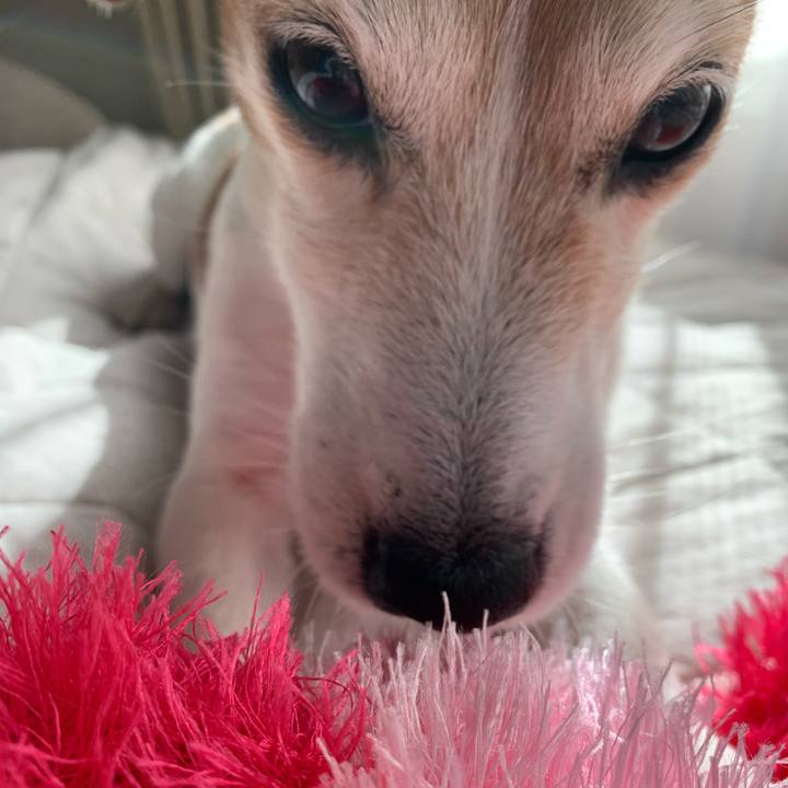 21c9a678 a27d 478a ac72 16e14ad63ae8 1583043726785