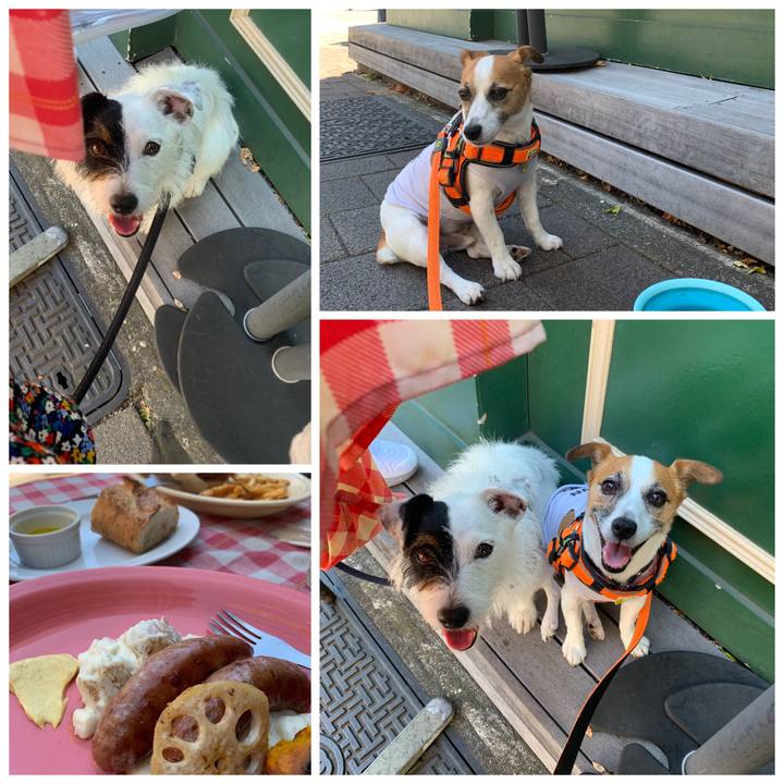 21c9bbb2 cb8d 472e ac42 b604ba85bc5c 1565501127125