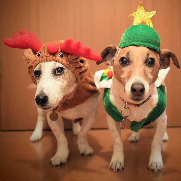 21ca1b52 dba5 4bde a12b ecb3a0aefd28 1766533313928