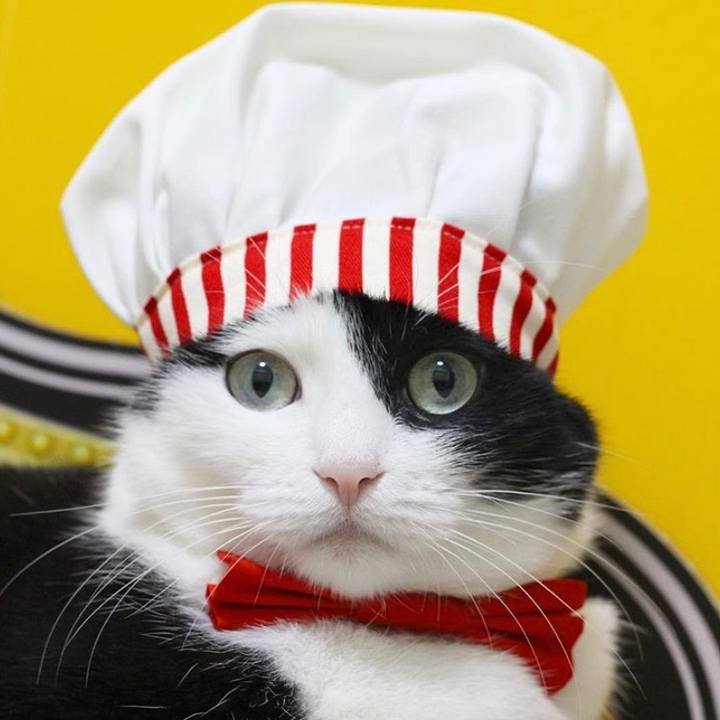 21ca5d76 73a4 411b aa01 bb2049ab69a7 1567514970808