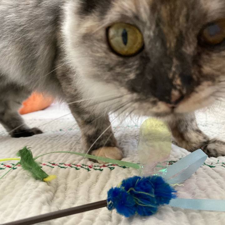 21caf3e1 d851 4663 8f98 aeb2b11d32af 1709953286261