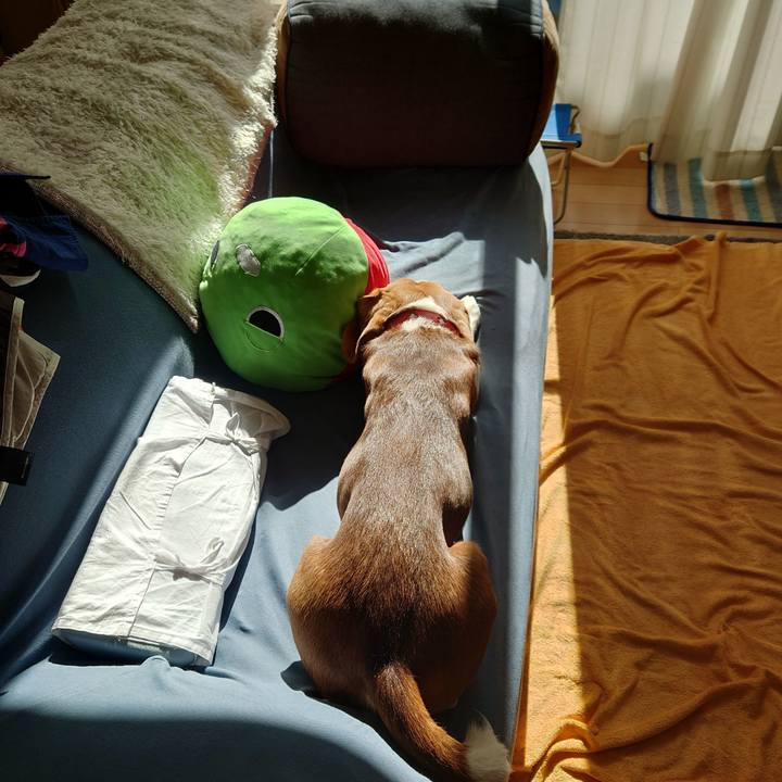 21cb23de 3840 4150 9f67 a1ee645fe14e 1668651071551