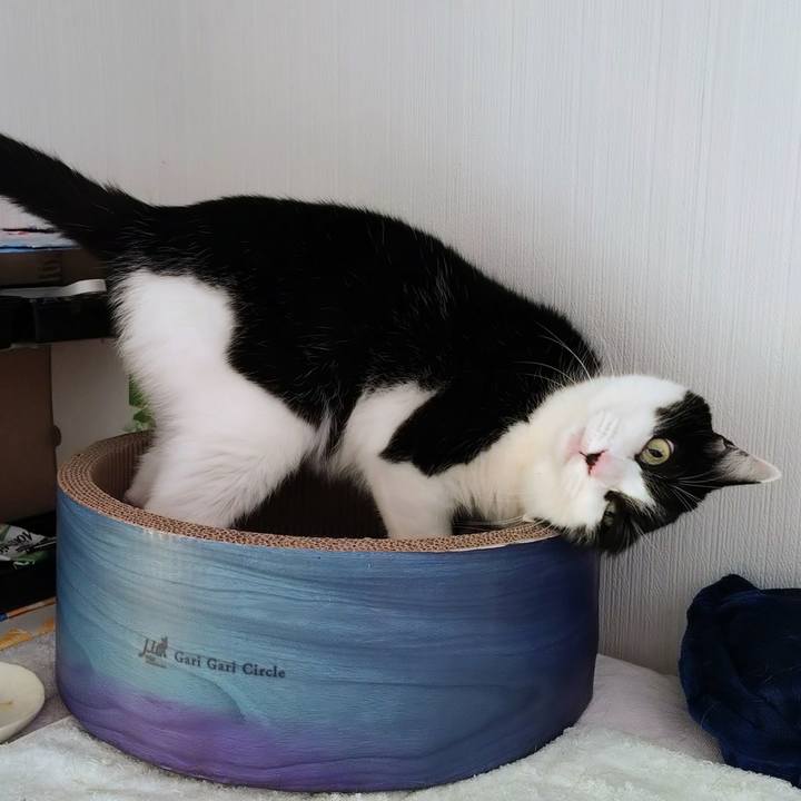 21cb2d3d 87d6 4468 9c21 429304e1a441 1771222947605