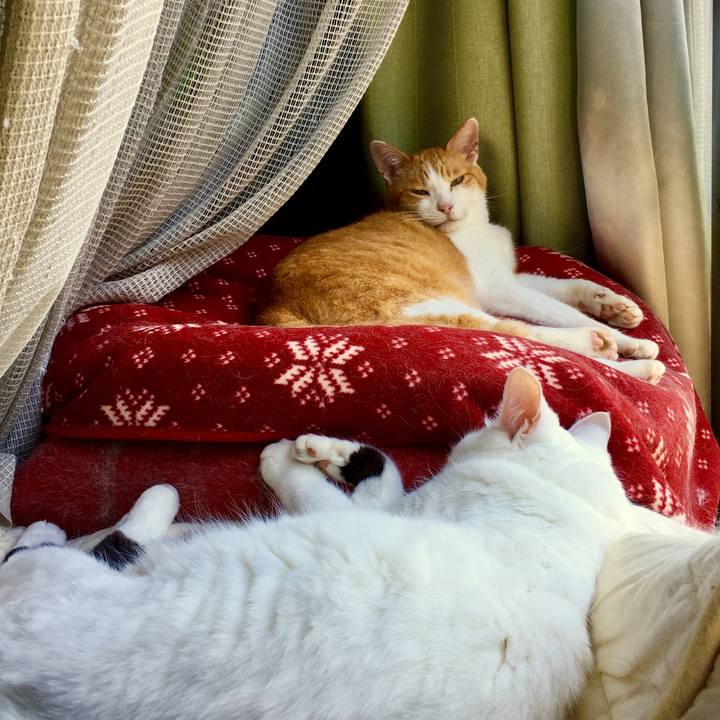 21cb58c2 47bd 4ad6 a0be fb728f1a7211 1567762003622