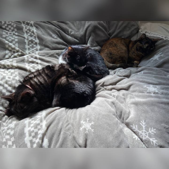 21cb5b03 8a7f 4ed9 820c 7bf37fdcbda7 1680330536282