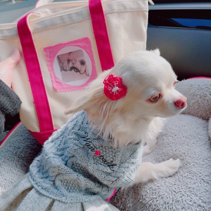 21cbc3fb 1d4b 494e adcd db8d27ba0b73 1704607921115