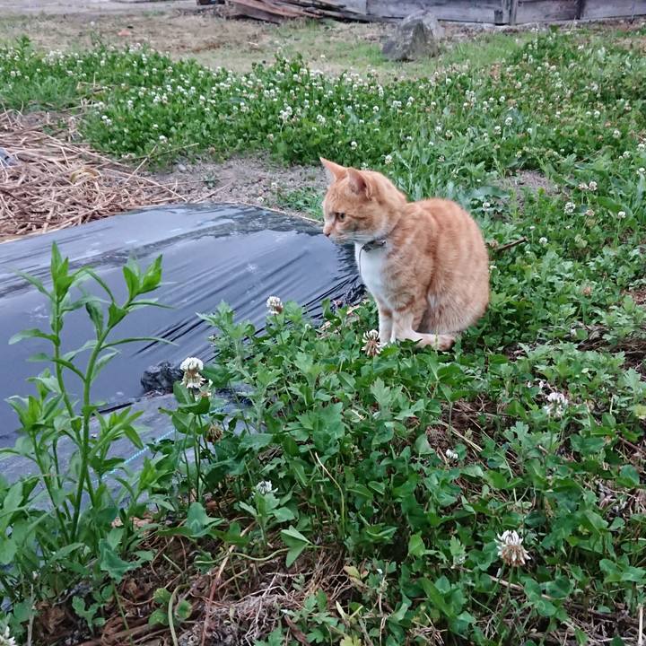 21cbe5f3 b04a 4640 9078 487638ef9422 1591955960453