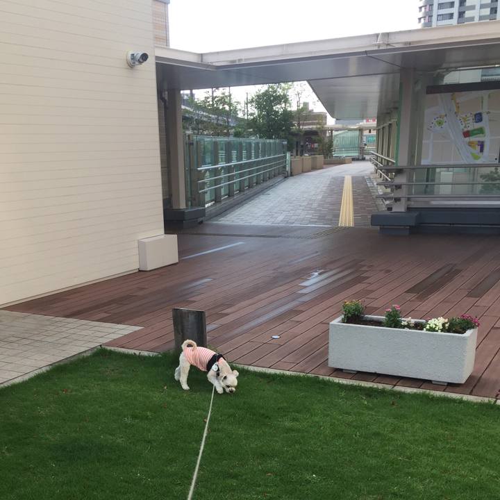 21cc259a 9a02 4d38 b741 b93e587698dd 1534199346526