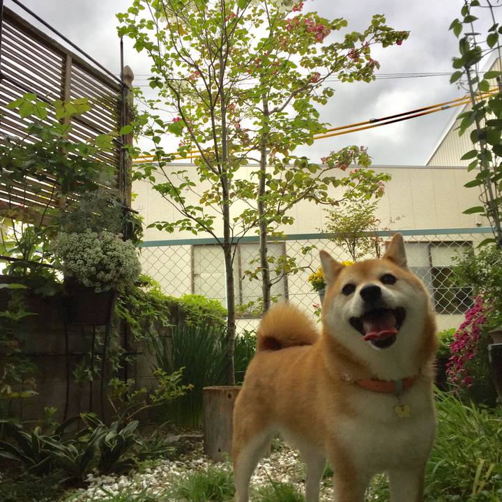 21cc35fd 701c 4e0e b4bb 3d25d50cbadc 1556165309857