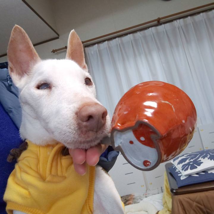 21cc4639 8b16 4ed5 bd3d 326b8a5f5c34 1578186574796