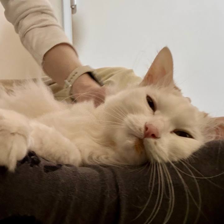 21cc6b3c 7da4 455d 8daf 54620d5bc76f 1774841565271