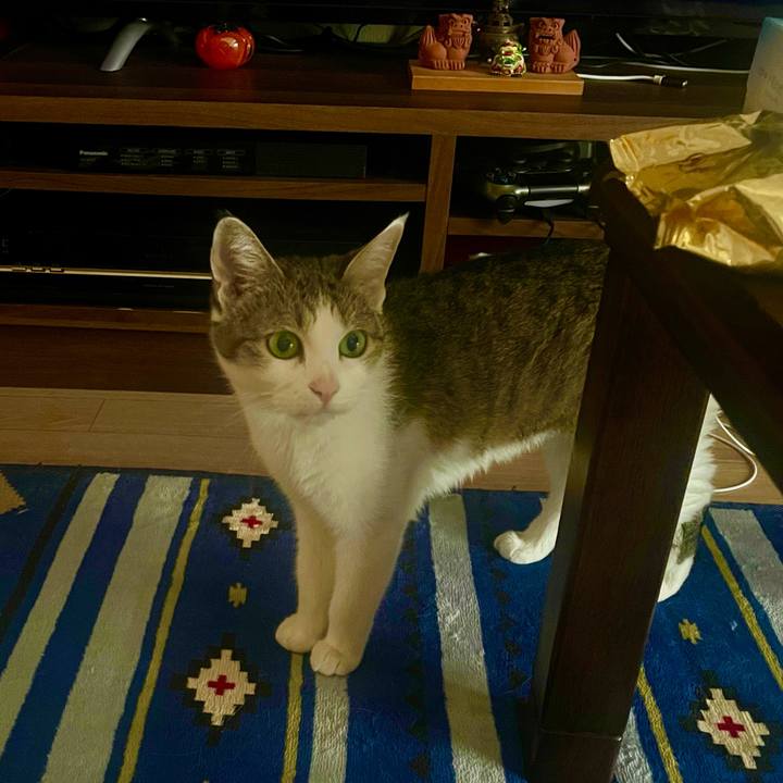 21cc9f28 8d4e 4a16 b00f 69608c38a00e 1628834155797