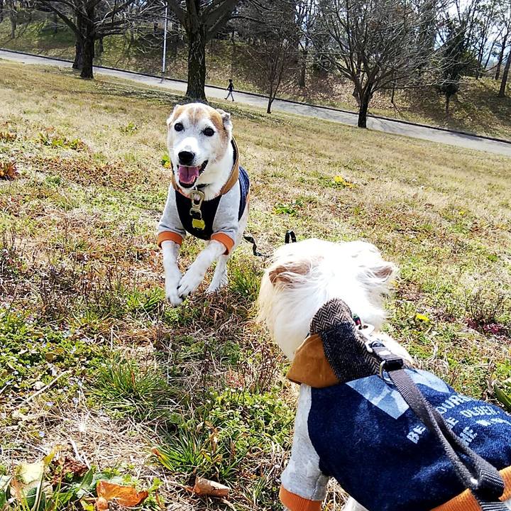 21ccb64a 91a8 4bae b97d d067faa5697a 1550981962554