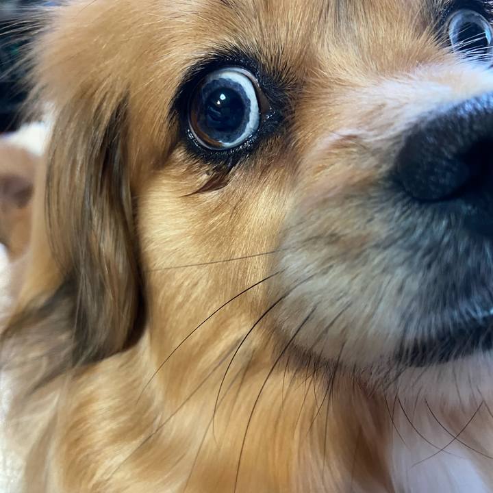 21cccde8 be9d 44f0 8bf9 4e50c90e0ff8 1615415499934