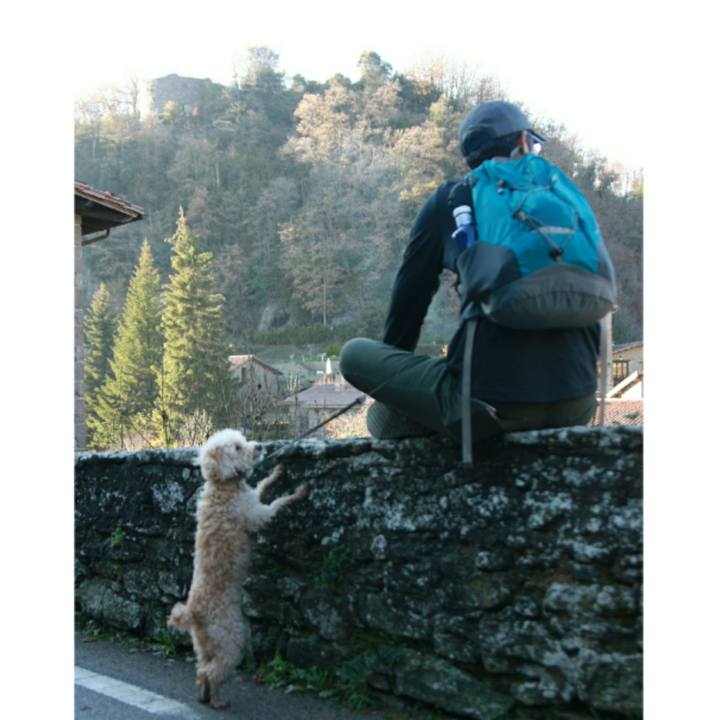 21cce2d2 dfe3 40f1 a8be a710bf126687 1543186366590