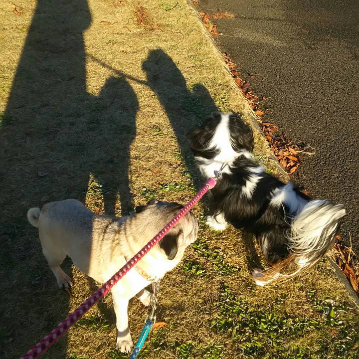 21ccec0f a714 4685 87fe 4d7b45a4d92d 1523969453790