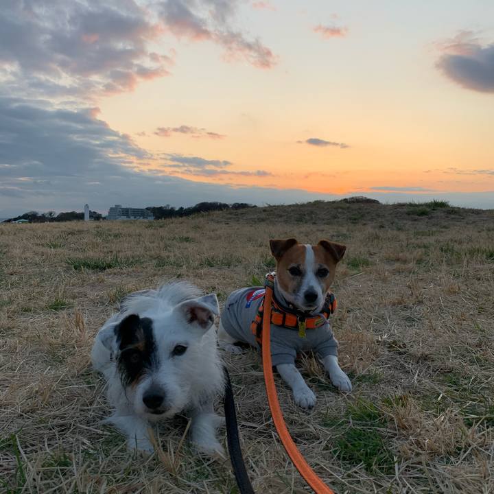 21cd36e6 7304 4203 a706 cf245c3c03a6 1583229015268