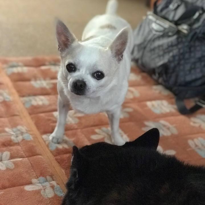 21cd81d8 c84b 4b23 8f81 bcc552a843f9 1512613616918