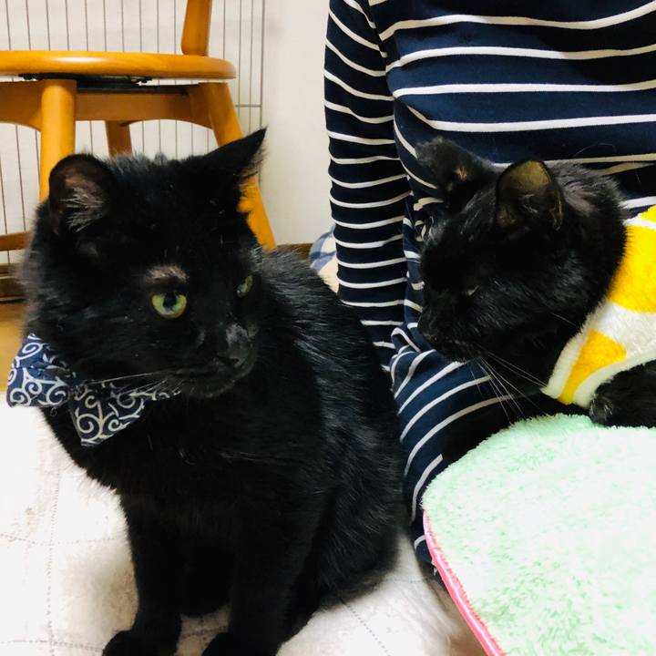 21cdbb40 2fad 4fe8 96e0 6e850c6672fc 1558092641029