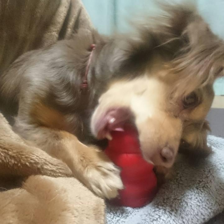 21cdec56 b25c 45a9 bb6d e751360d6b01 1519818808841