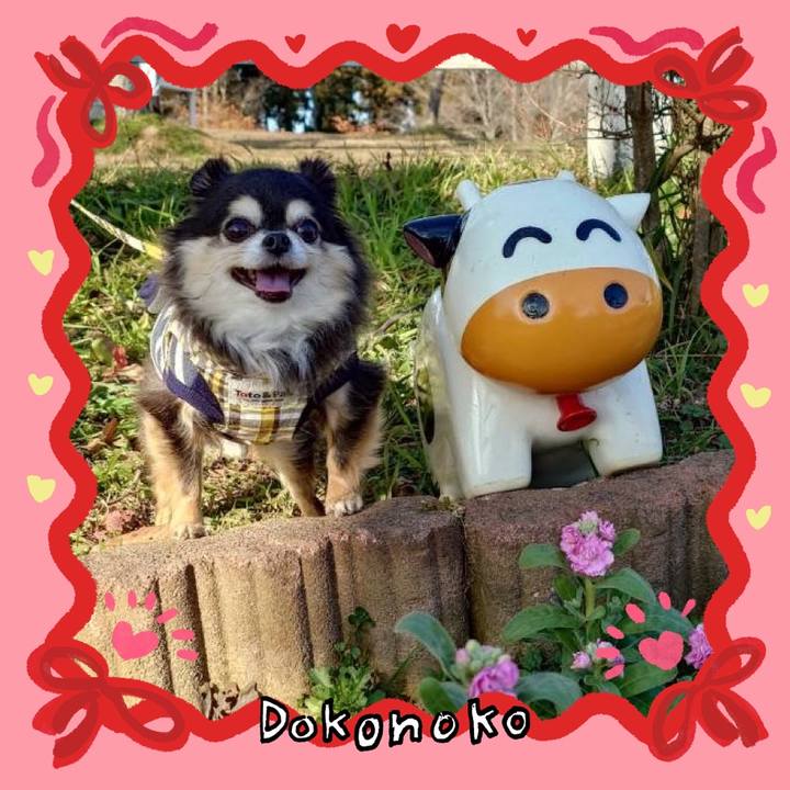 21ce2a54 c48c 453b ad65 60666d595ac2 1706839792390