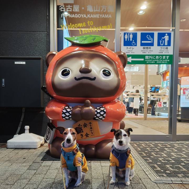 21ce2ccd d44a 40ed a14b 60a67ce48e92 1742650233721