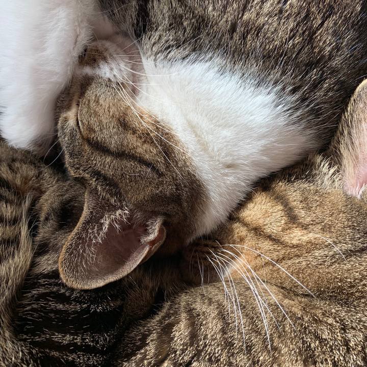 21ce79d1 5ec3 4eb0 9ea8 7bc92c3cf712 1545529143173