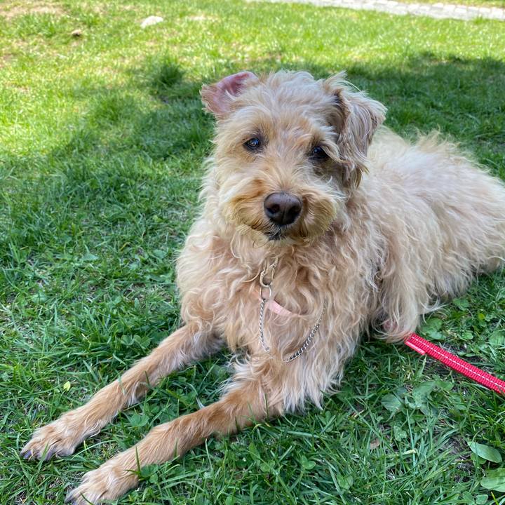 21ce8020 0249 45f3 acc1 4c3a573c3511 1651813337895