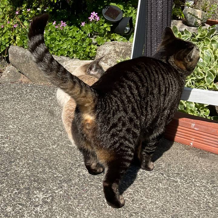 21ceca21 1287 494e bd24 d9623ac3f43a 1655602752490