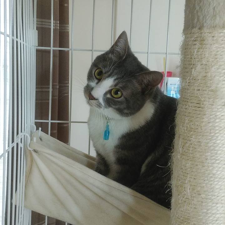 21cee4dc 9207 44e2 813d 2166d142fc32 1587647749725