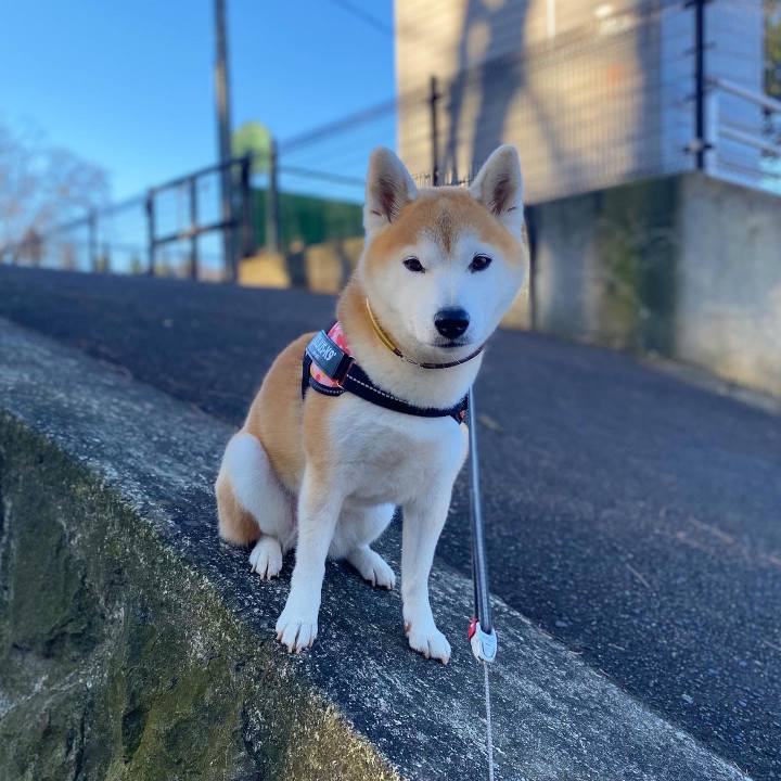 21cee9fb 8374 44f1 8983 bf5494907a84 1700105160496