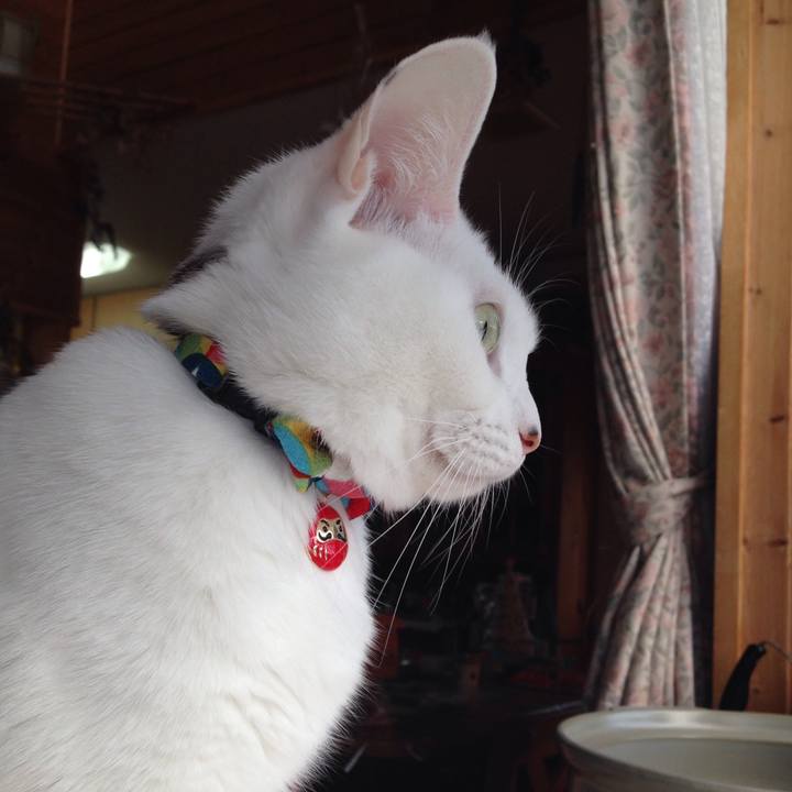 21cf5847 d904 40b8 ae1b 97262f9efd79 1514500579793