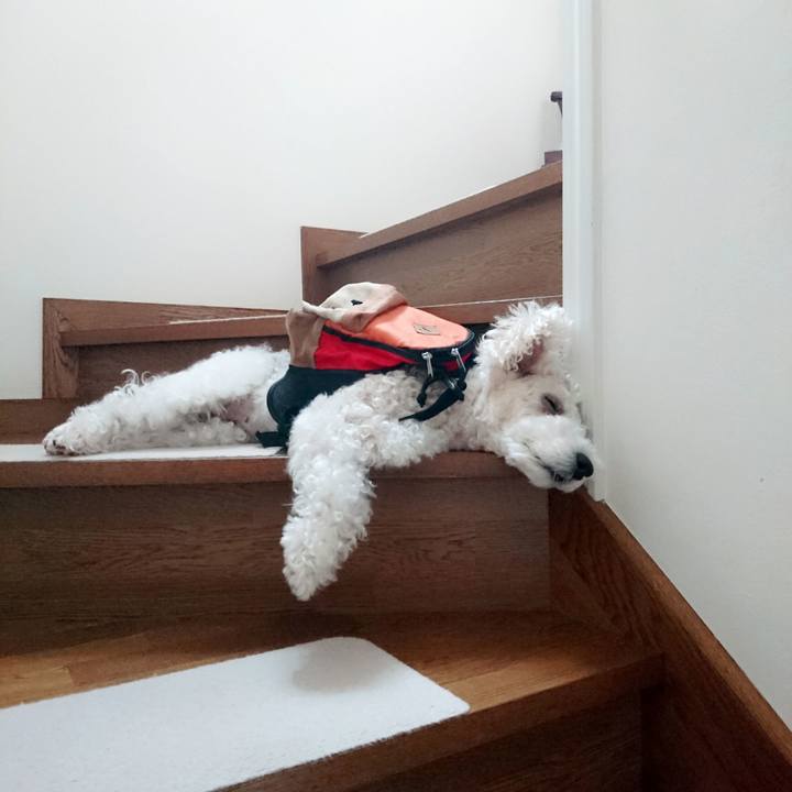 21cffc95 f3ee 458e 99ef 4a32535a6b60 1537929982215