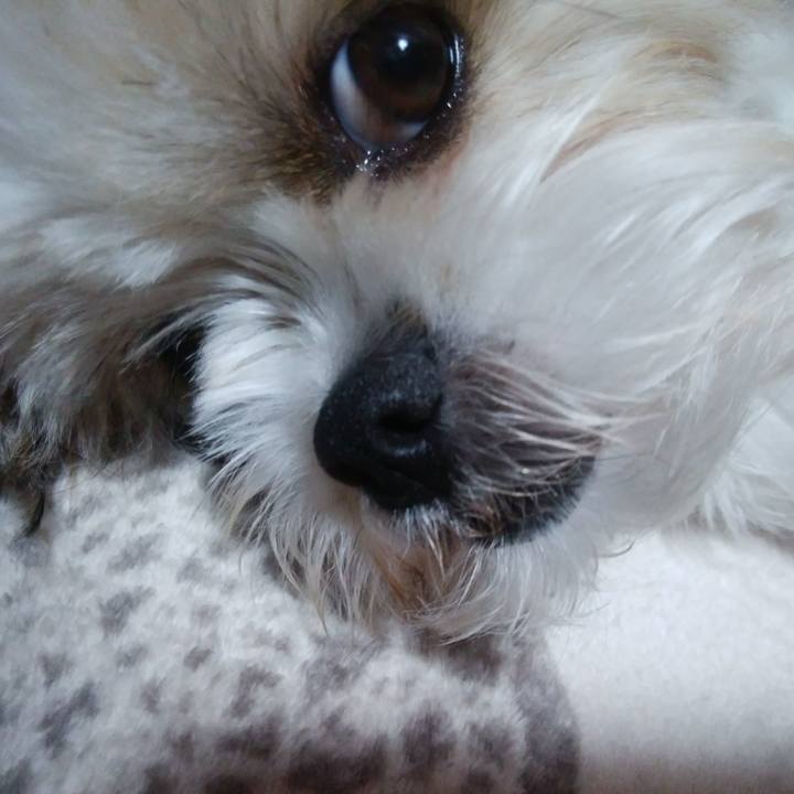 21cffe3c debc 4848 b7c6 ad81fc57ea1f 1523709899794