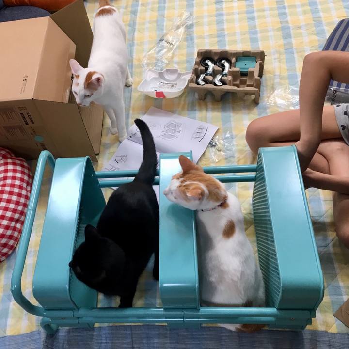 21d00449 43ff 46c2 86ea 5de123946a58 1525510558897