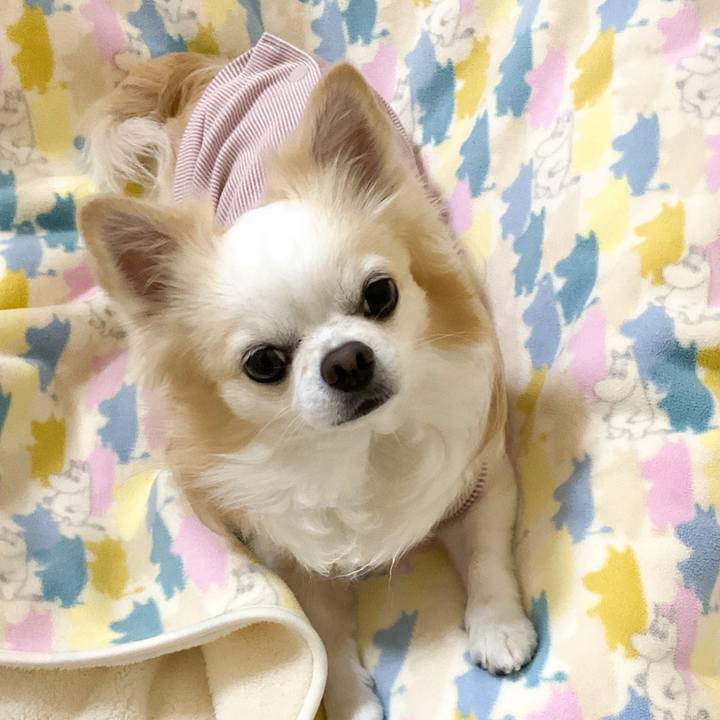 21d0338d 502b 44bf b211 530b26ce8bde 1763295729144