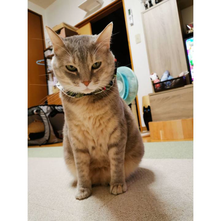 21d0ad64 2cbc 4bf1 a0bb a2fe44c7fdfe 1650083147572