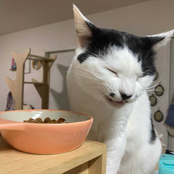 21d0ce4e eafa 4148 a421 18a1c5a9af66 1772833362822