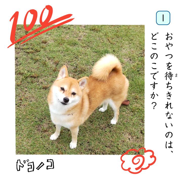 21d0e8d5 9270 4382 86a5 5f1ff860e084 1744419826496