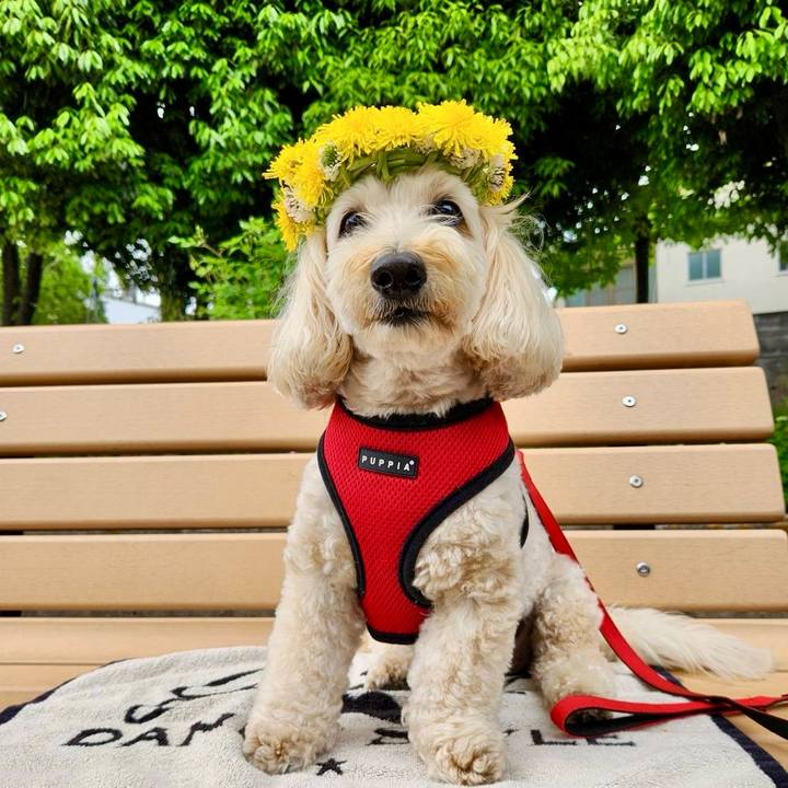 21d0f2a3 85ee 4037 a452 b3e2b2badf53 1776409291316