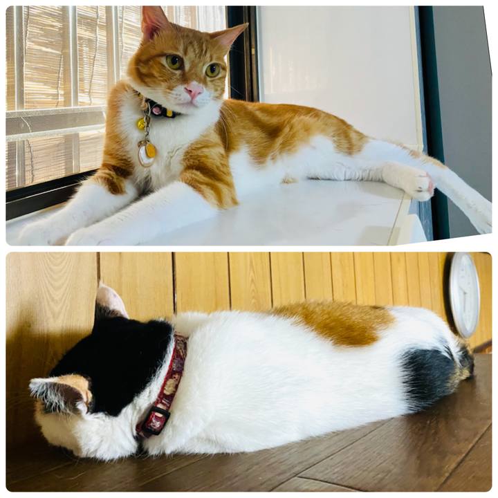 21d0fdfc f172 49f8 af70 cc079f6735f5 1659305108461