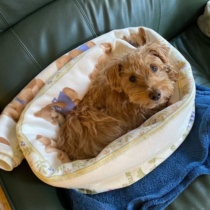 21d10009 b39e 4d68 900e be1ce4955a89 1700265583584