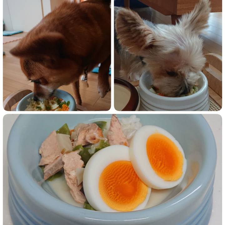 21d14935 02e2 489e 8292 51d96b6099c4 1572821307738