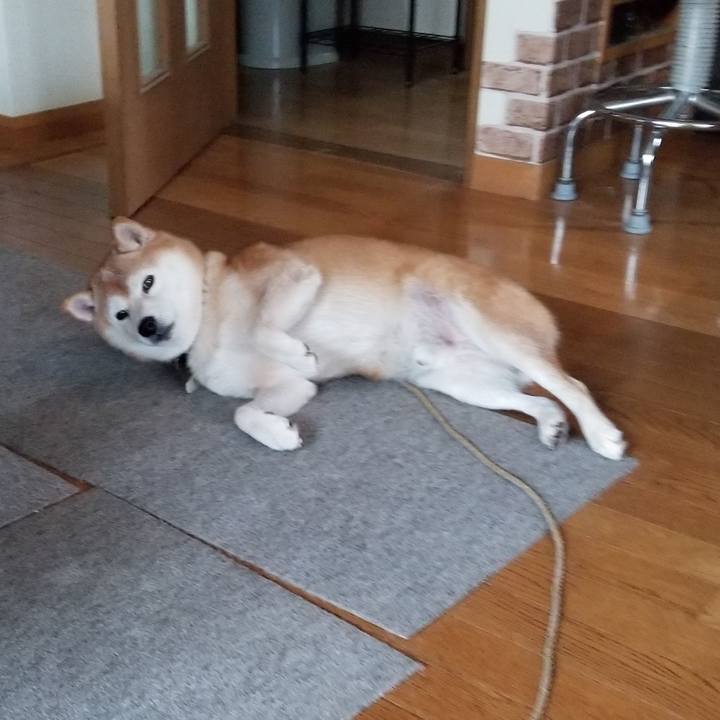 21d18b81 183f 49b4 a860 992677645249 1664334163679