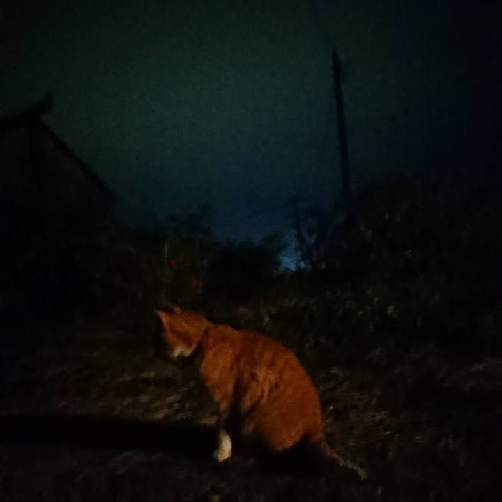 21d1df8c 7f0b 4970 a879 f651fac3b434 1602926254432