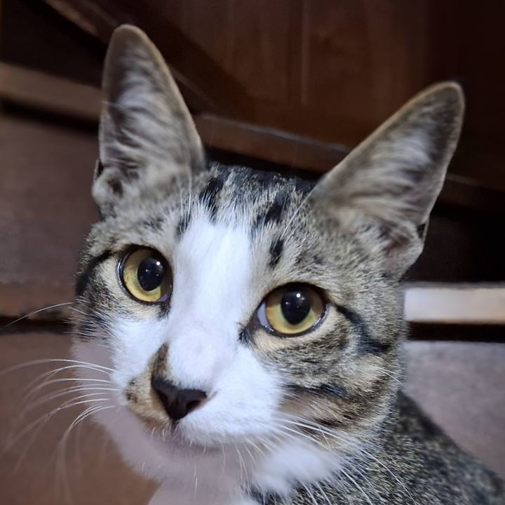 21d1f26f 049a 4bec b22b f9f3dd9d2fe2 1750441840515