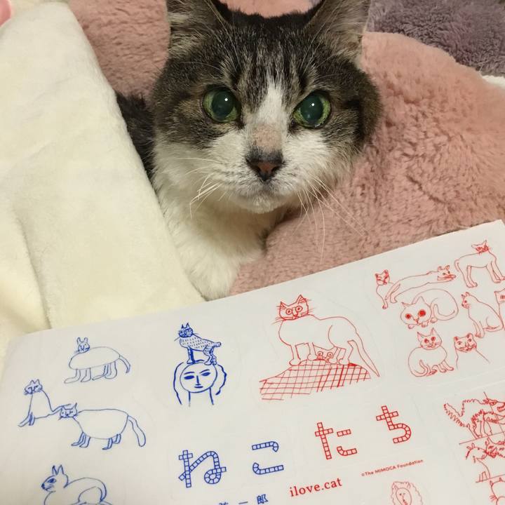 21d20354 fc6f 4391 8890 046ba00c9e7a 1521987950936